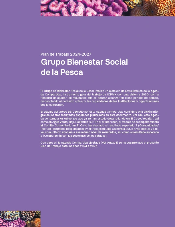 Portada del documento de plan de trabajo del grupo bienestar social de la pesca